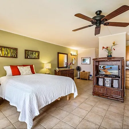 Waikoloa Village Condos E10